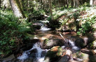 Appartementhaus Himmelreich - Foto 14