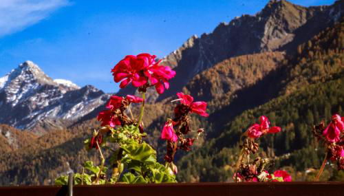 Casa Lana - Foto 3, Garden view