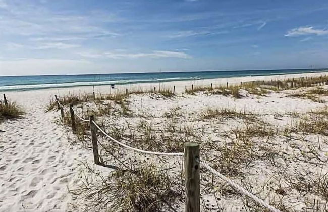 The Palms A6 - Foto 37