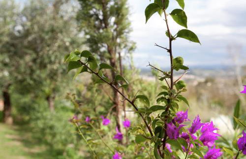 Villa in Tuscany with Pool near Certaldo - Foto 18