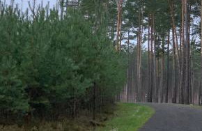 Przy Złotych Piaskach 1 - Foto 45