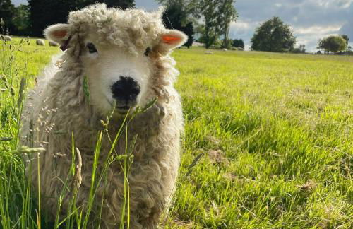 Stunning rural Barn Conversion - Photo 21