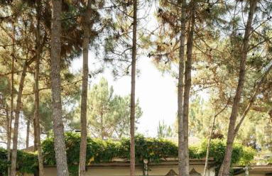 Cabana Lavanda Comporta - Foto 7