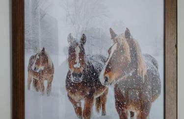 Cal Toni de Vilallobent - Foto 26