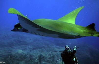 Apartamentos Lisboa - Foto 44