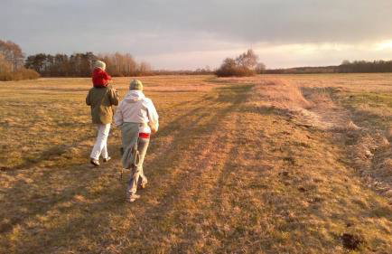 Domek Drewniany - Foto 56