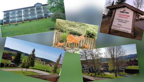 Ferienwohnung deine Auszeit im Allgäu - Foto 5