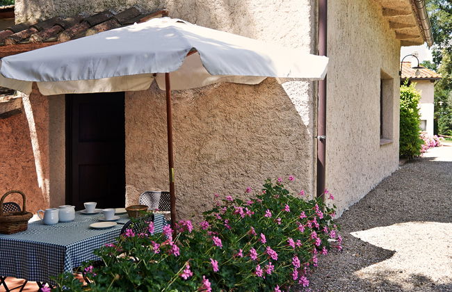 Bardeggiano - Caterina 8 (COL243) - Foto 24