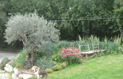 Agriturismo Campagnoletto - Foto 38