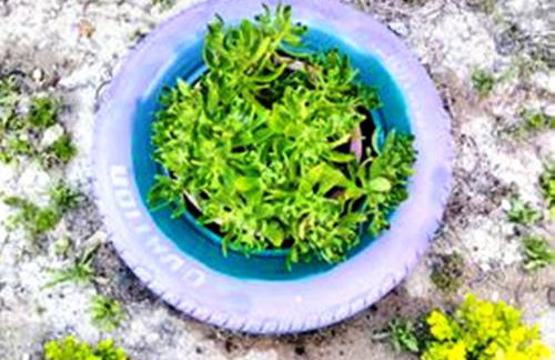 Nikolas' house - Foto 40