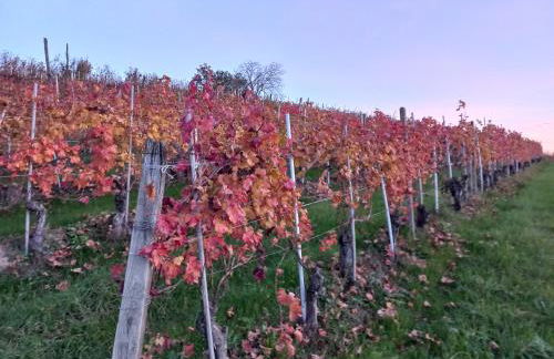 La Briccola - Foto 11