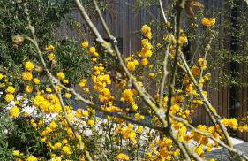 Gîte Noir Lapin - Photo 15