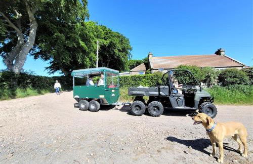 3 Bed in St. Andrews oc-88545 - Foto 25