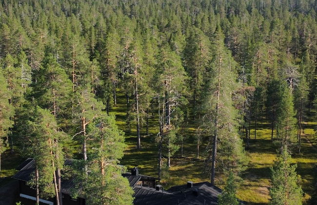 Arctic Verge - Foto 1