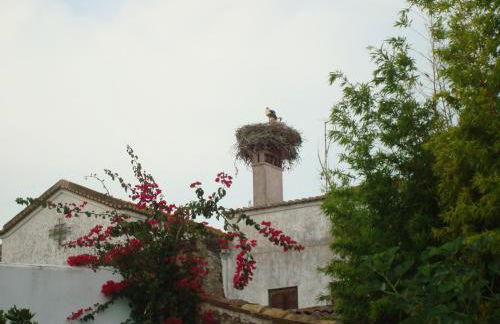 Casa Claudia - Pool and Wifi - Photo 16