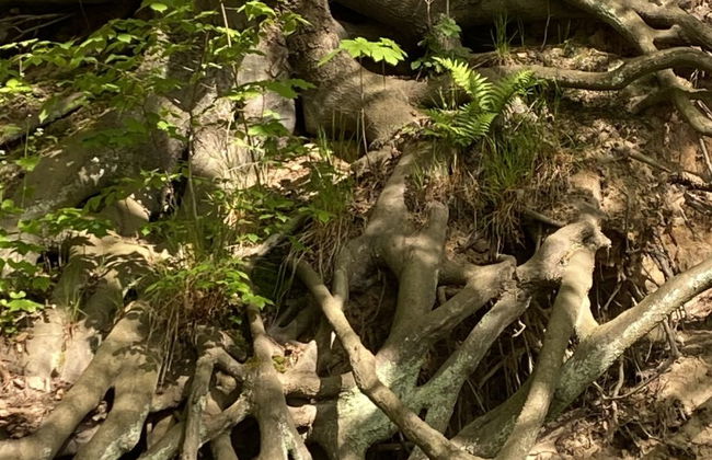 Willa Słoneczko - Foto 74