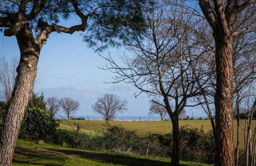 Cavallara - pace, natura e musica - Foto 7