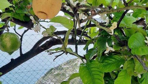 Casa sul mare - Foto 3