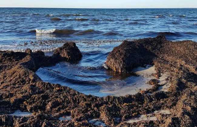 6 Person Holiday Home in Vig - Foto 36