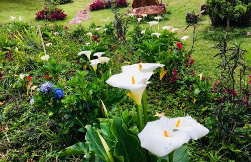 Casa do Lago Caparaó - Foto 74