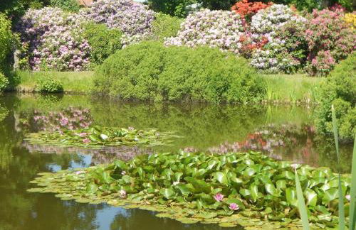 Ferienwohnung Hemmerle - Foto 36