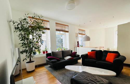 Großes und helles Innenstadt Apartment - Ferienwohnung - Foto 1