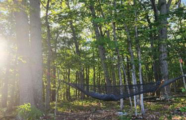 Serenity Cabin - Cozy Mountain retreat - Photo 35