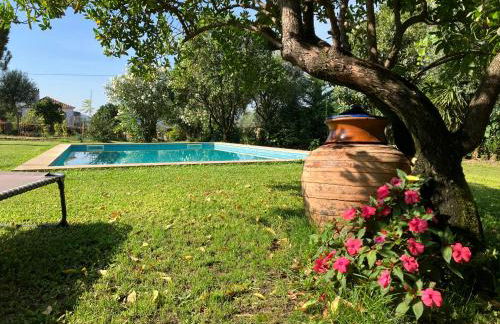 Casa do Cruzeiro do Outeiro -comfort and tradition - Foto 16