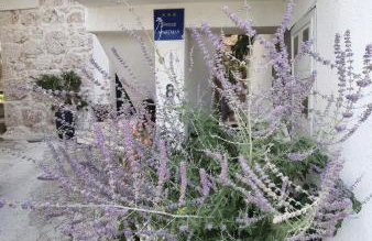 Manda Gradac - Foto 5