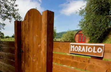 Botte Toscana in Oliveta - Idromassaggio Privato - Vista Mozzafiato - Foto 38