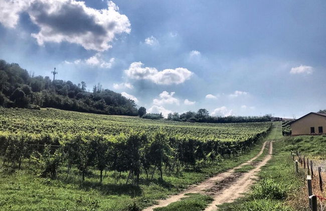 Cascina Liebe Whirlpool Sauna Monferrato CXL OCT 2023 - Foto 77