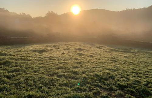 La Apañaora - Foto 48