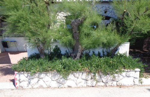 Apartman M Orebic - Photo 42