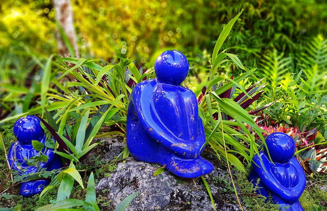 Eden on the River - Foto 37