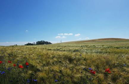 Pension zum Wiesengrund - Ferienwohnung - Photo 20