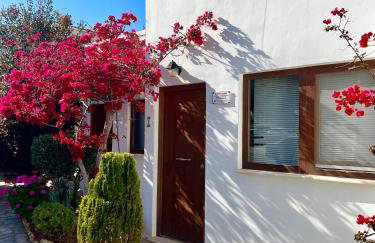 Kali Holiday Apartments - Foto 36