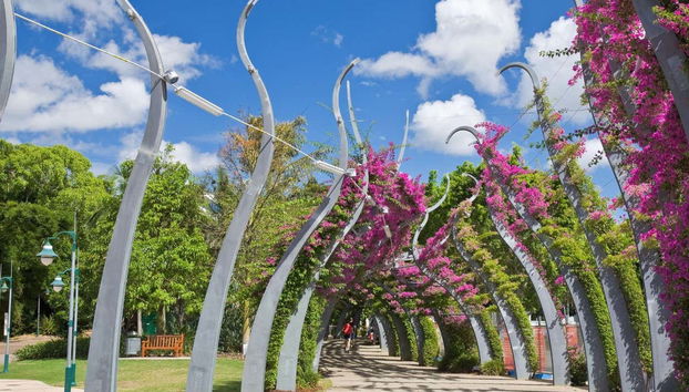South Bank Grand Arbor, une charmante passerelle à Brisbane