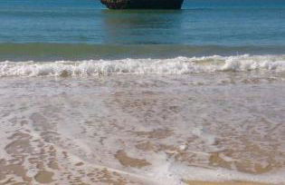 Las Marismas-Puente del Rey - Photo 19