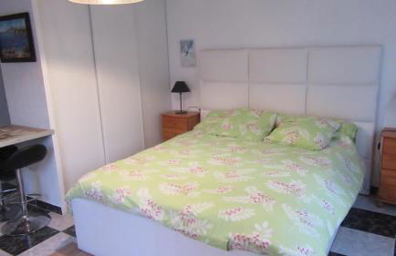 Appartements dans résidence Avec piscine - Mer à 500m - Foto 18