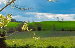 Clos Baroanni - Gîte Terra - Foto 24