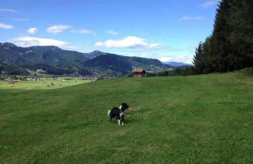 Geigers Ferienhaus - Photo 26