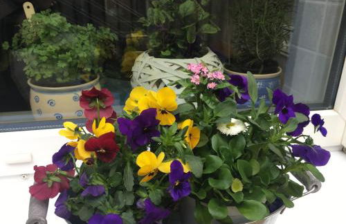 Apartment Apart Waldershof - Foto 28