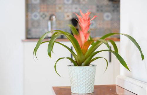 La Carpinteria Alojamiento - Foto 12