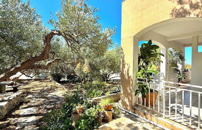 Appartamento Olive Garden Ac Wifi Hvar - Foto 26