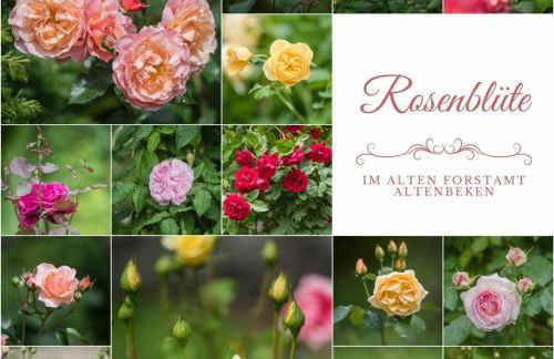 Apartment in a Wooded Area on Lake Faak - Foto 53