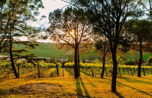 La Dolce Villa - Photo 27