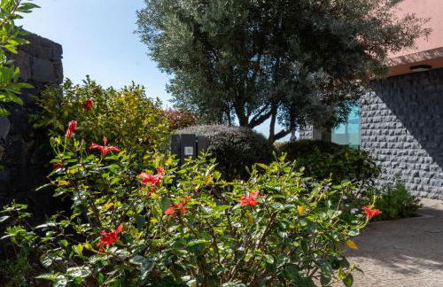 Elísio do Mar by LovelyStay - Foto 51