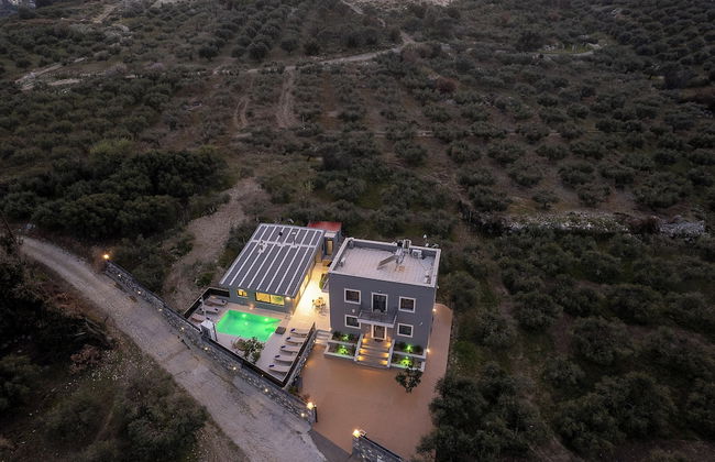 Olive Tree - Foto 36