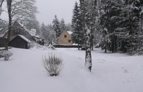 Un séjour ressourçant en Alsace entre vignes et montagnes l'Escapade Barochaise à 20mn de Colmar - Foto 21