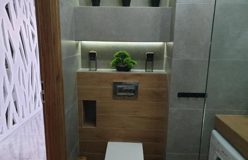 Apartament Wrocław Centrum Dorzecze Legnickiej - Photo 2